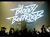 20130524-bloody-beetroots-025