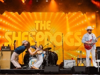 TheSheepdogs_ThoriumMag-7381