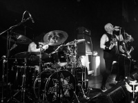 Heathen-TD-2024-8