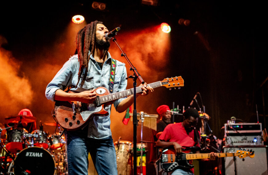 Julian Marley - Ecaussysteme 2024